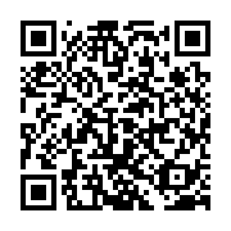 QR code for DDY 339