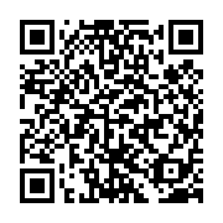 QR code for DDY 419