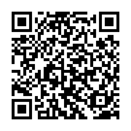 QR code for plate DDY 730