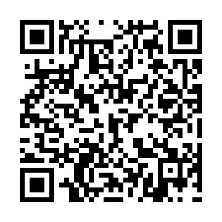QR code for DDZ 301
