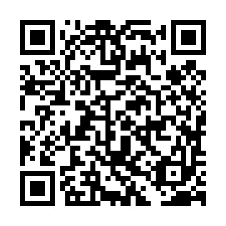 QR code for DDZ 493