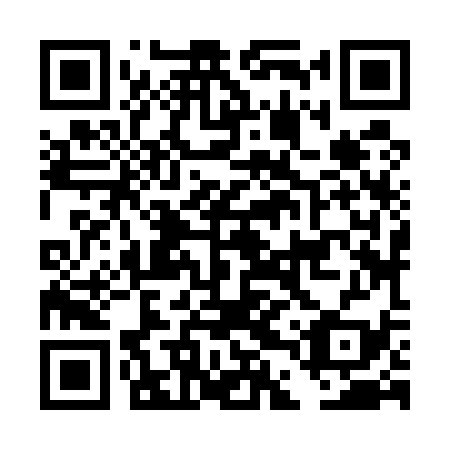 QR code for DDZ 539