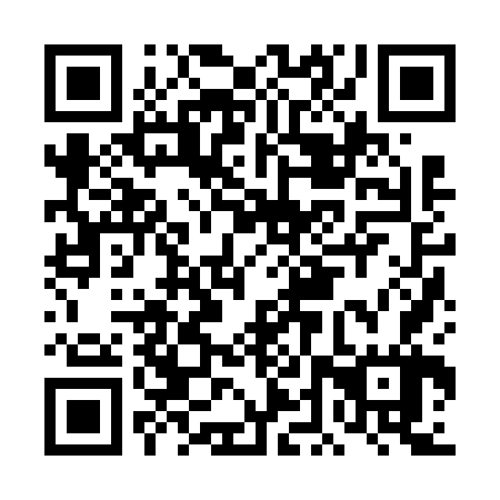 QR code for DDZ 667