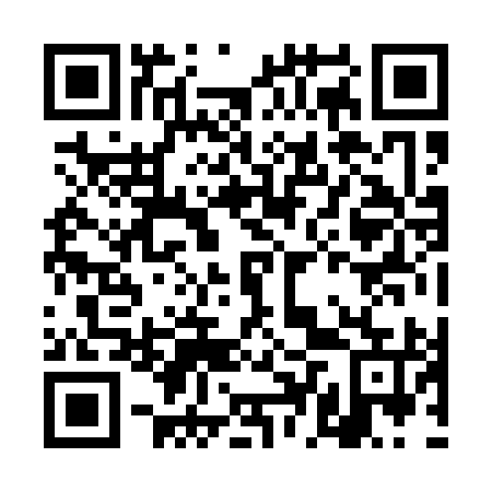 QR code for plate DDZ 195