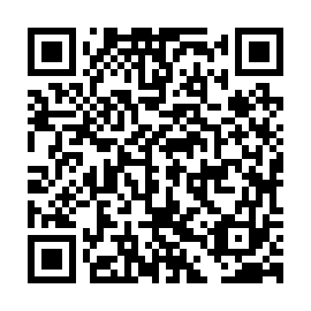 QR code for plate DDZ 273
