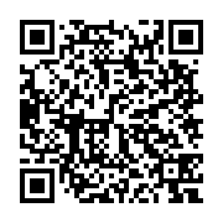QR code for DDZ538