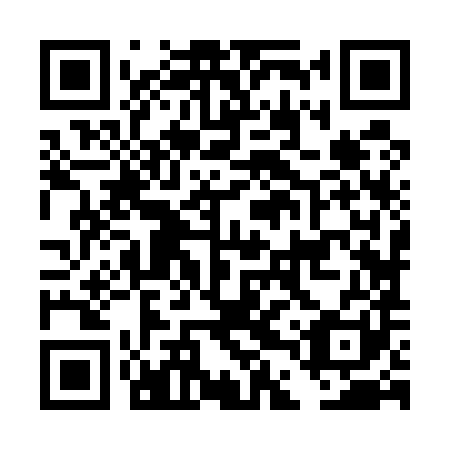 QR code for plate DDZ 581