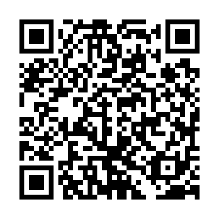 QR code for DDZ711