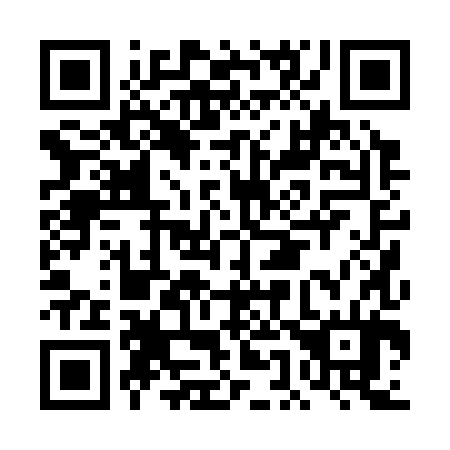 QR code for DE 0384