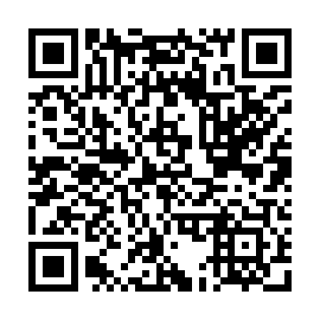 QR code for DE 2903