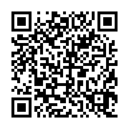 QR code for DE 3007