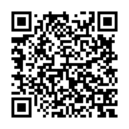 QR code for DE 3874