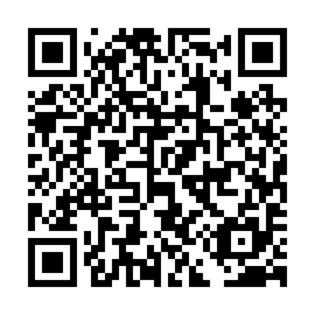 QR code for DE 5295