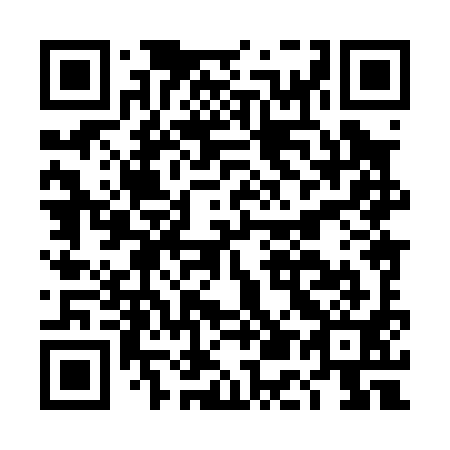 QR code for DE 8091