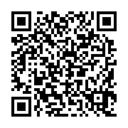 QR code for DE 9384