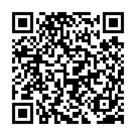 QR code for DE 9673