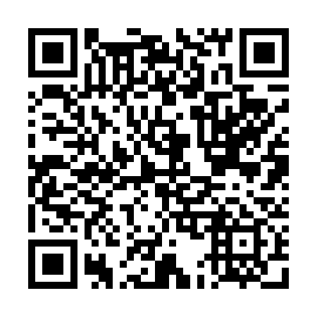 QR code for DE2439