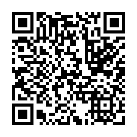 QR code for plate DE 3989