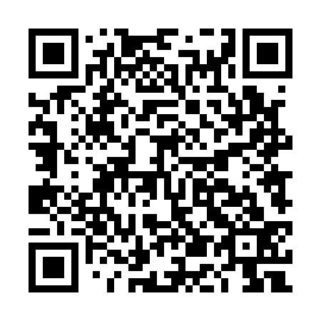 QR code for plate DE 4133