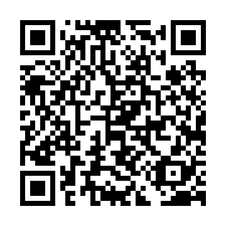 QR code for DE4228