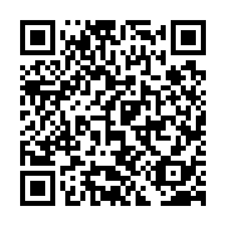QR code for plate DE 6738