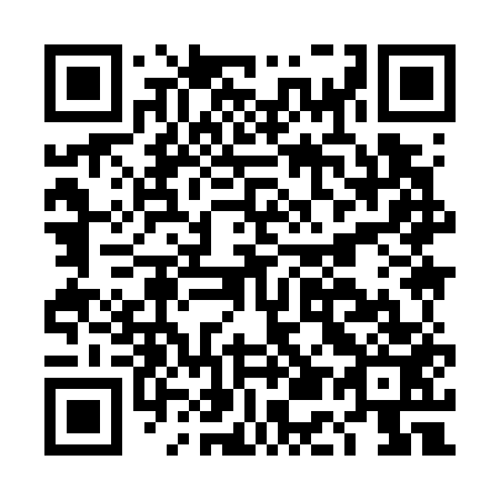 QR code for DE9753