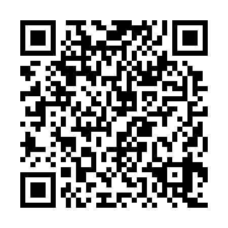 QR code for plate DEB 339