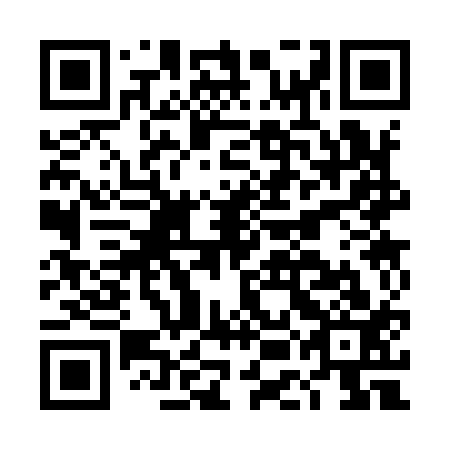 QR code for DEC 913