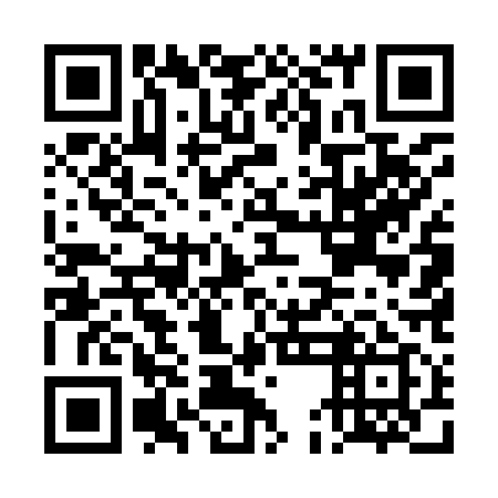 QR code for plate DEE 919