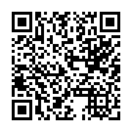 QR code for DEI 009