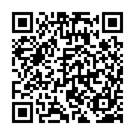 QR code for DEI 317