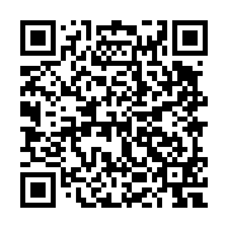 QR code for DEI 491