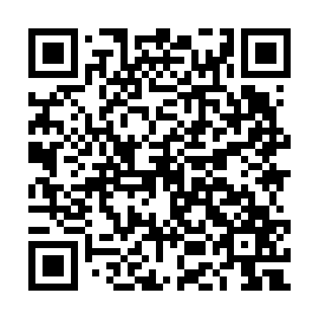 QR code for DEI 667