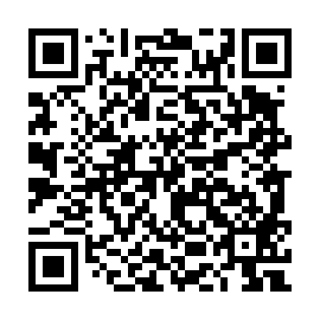 QR code for plate DEL 489