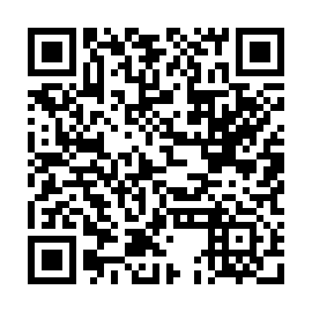 QR code for DEM313