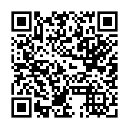 QR code for plate DEM 331