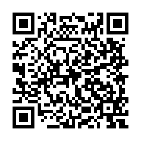 QR code for DEM595