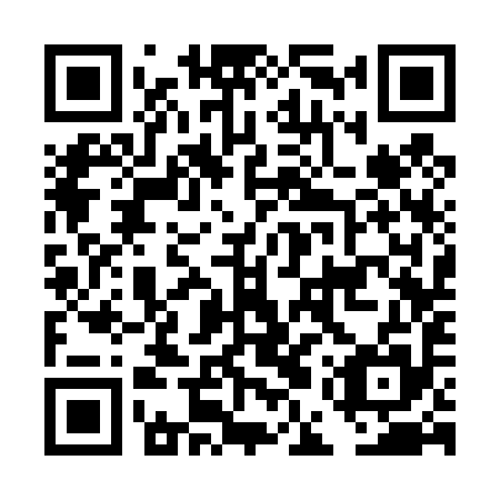 QR code for DES 495