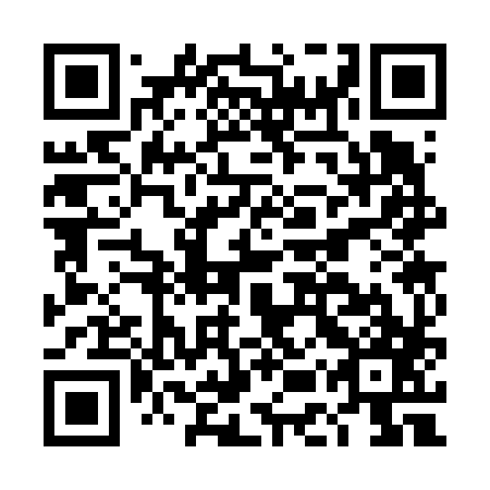 QR code for plate DES 687
