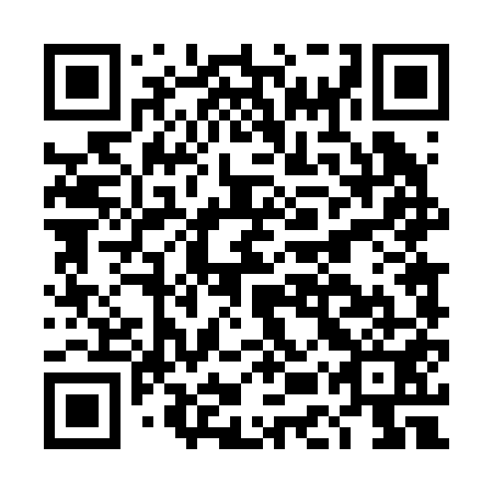 QR code for plate DET 251