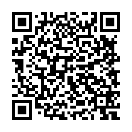 QR code for DET868