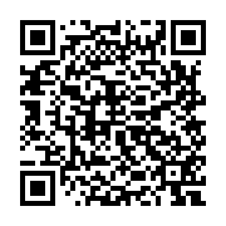 QR code for DEW 951