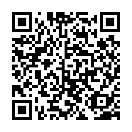 QR code for DEW739