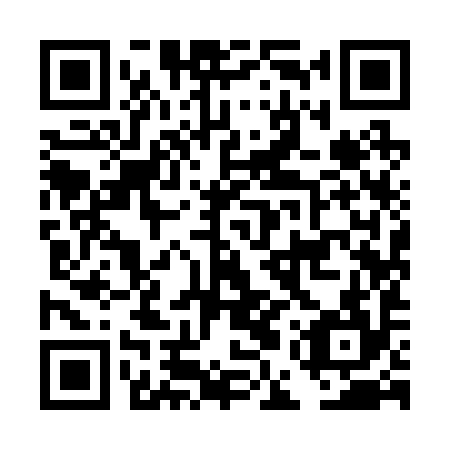 QR code for DEY 294