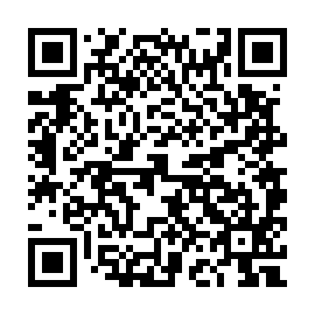 QR code for DF 6595