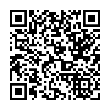 QR code for DF0333