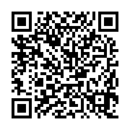 QR code for plate DF 2995