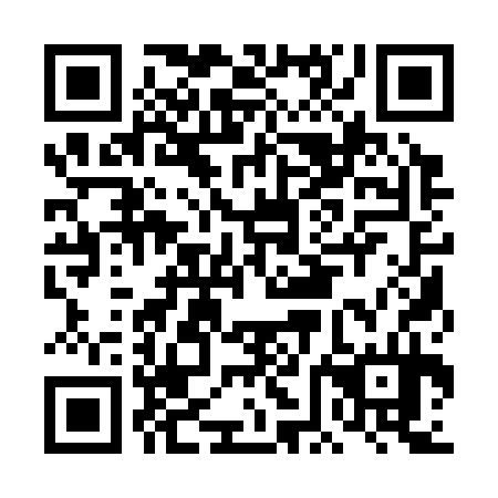 QR code for plate DFA 334