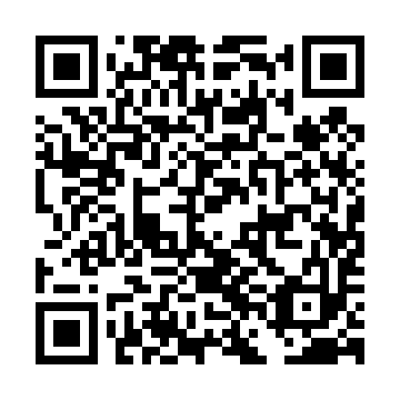 QR code for DFA493