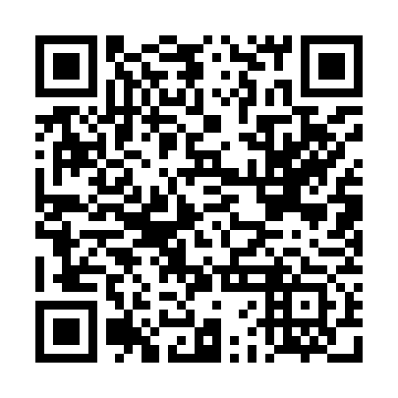 QR code for plate DFA 973